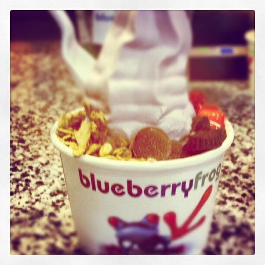Blueberry Frog Frozen Yogurt Restaurant Downtown Greenville SC - yogurt cup